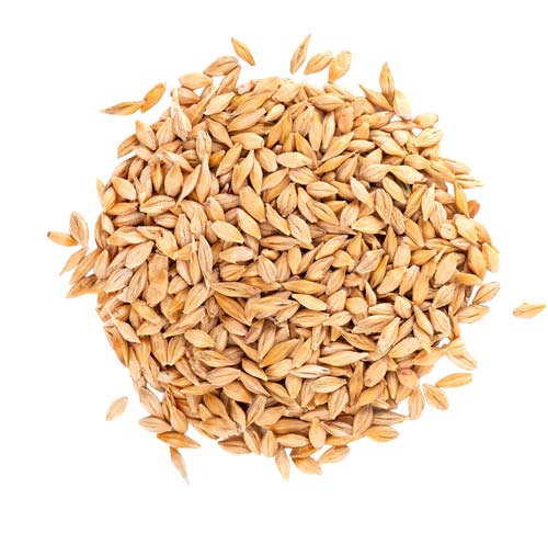 Jackson Purchase Mashbill single malt -100