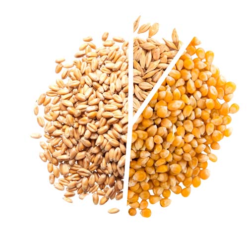 Mashbill wheat-51-39-10 chart